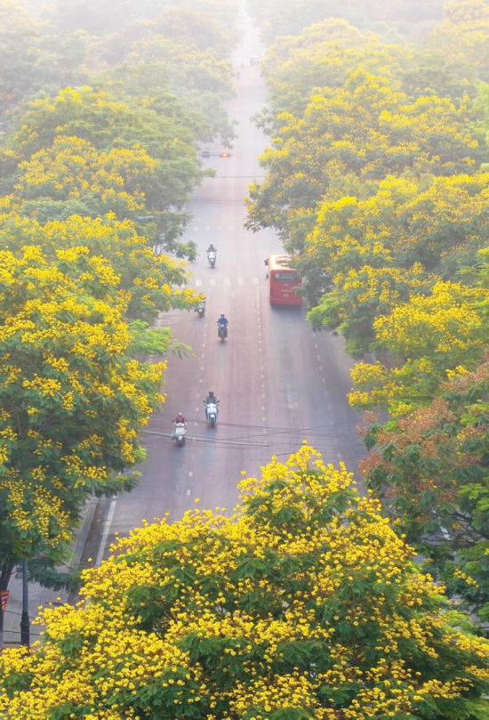 The new urban look of Hue city